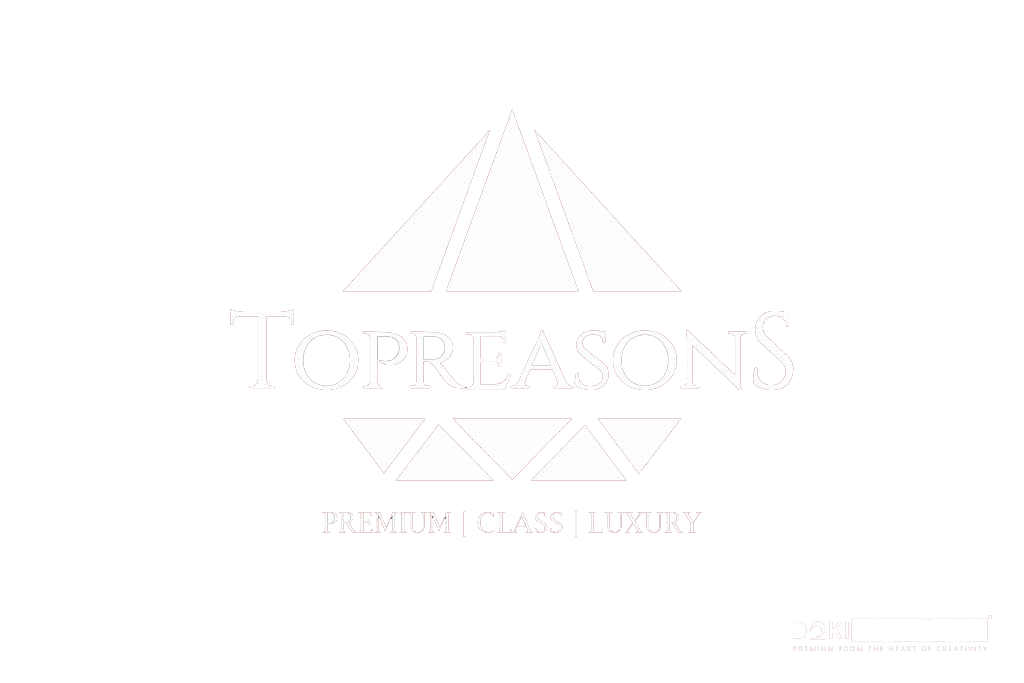 TopReasons logo